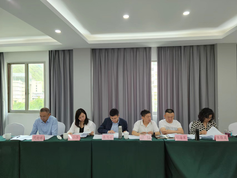 瀘石公司組織召開(kāi)項目抗震減災和汛期防災減災專(zhuān)題會(huì )議1.png
