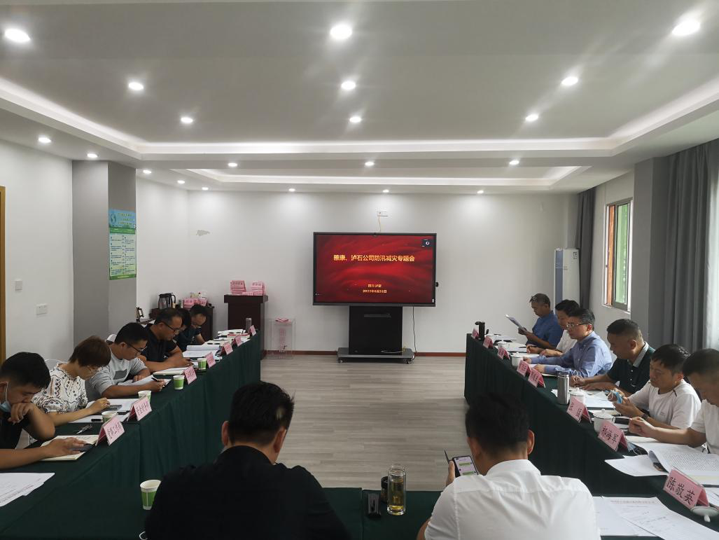 雅康、瀘石公司召開(kāi)防汛減災專(zhuān)題會(huì )議1.png